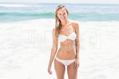 Portrait of pretty woman in bikini standing on the beach