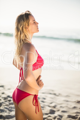 Pretty woman in bikini standing on the beach