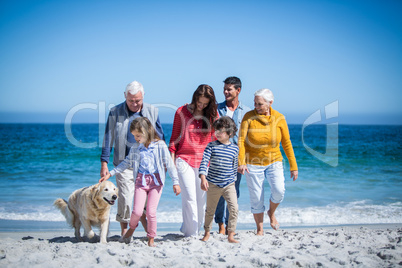 Happy family with their dog at the beach