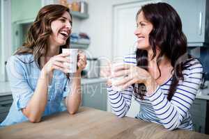Happy female friends holding coffee mugs while discussing at tab