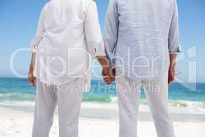 Rear view of a senior couple holding hands