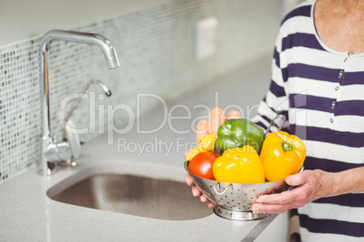 Midsection of senior woman holding colander with vegetables