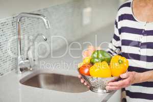 Midsection of senior woman holding colander with vegetables