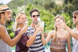 Group of friends toasting champagne flute