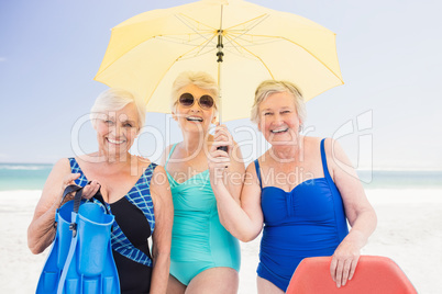 Portrait of senior woman friends