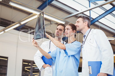 Concentrated doctors checking X-ray