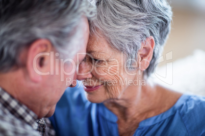 Close-up of senior couple embracing each other