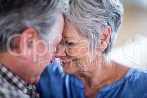 Close-up of senior couple embracing each other