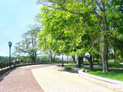 People have a rest in park with big trees