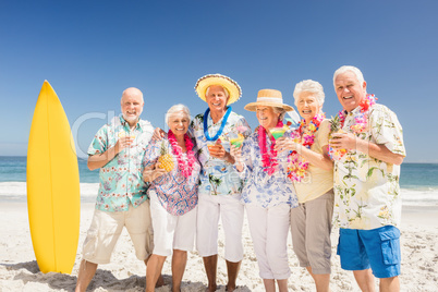 Portrait of smiling senior friends