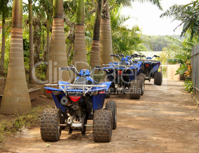 Blue Quad Bikes under Palm Trees