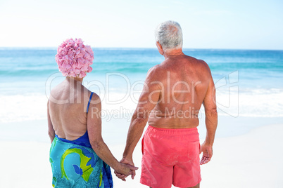 Cute mature couple holding hands on the beach