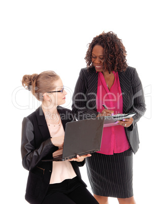 Closeup of two businesswoman working.