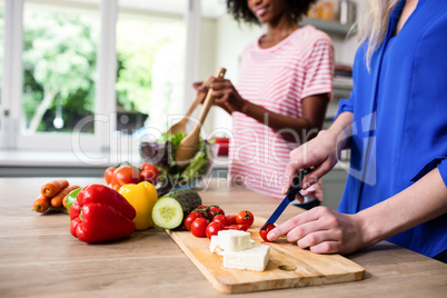 Midsection of female friends preparing food