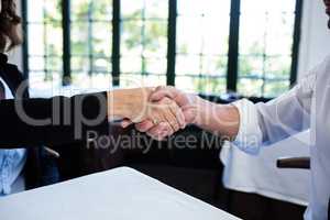 Business colleagues shaking hands after a successful meeting