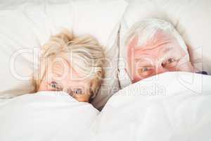 Overhead portrait of couple hiding in blanket