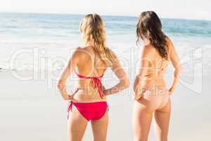Rear view of two women in bikini standing on the beach