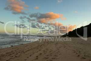 Seascape with Setting Sun with Dog and Seagull