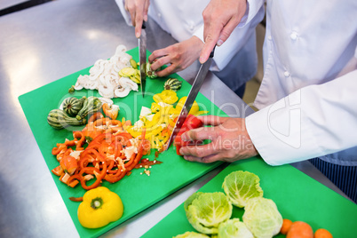 Close-up of chefs chopping vegetables