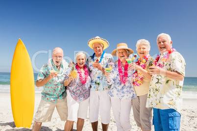 Portrait of smiling senior friends