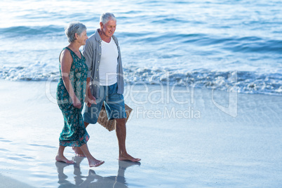 Senior couple with a picnic basket