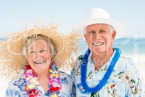 Senior couple standing at the beach