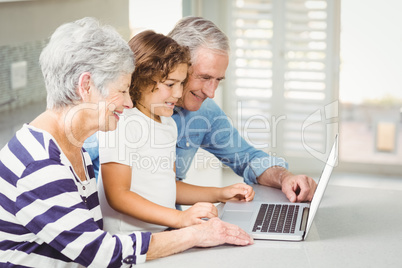 Happy girl with grandparents using laptop