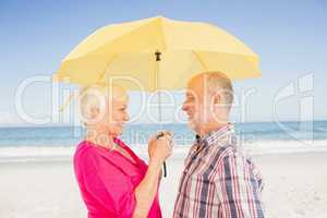 Smiling senior couple holding umbrella