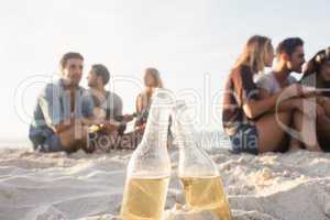 Smiling friends sitting on sand