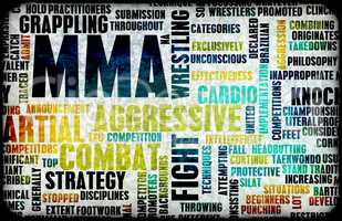 Mixed Martial Arts or MMA