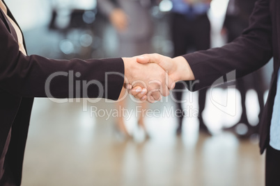 Businesswoman shaking hands with colleague