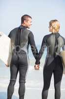 Rear view of couple with surfboard holding hand on the beach