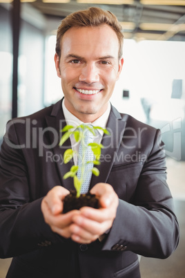 Happy businessman holding plant