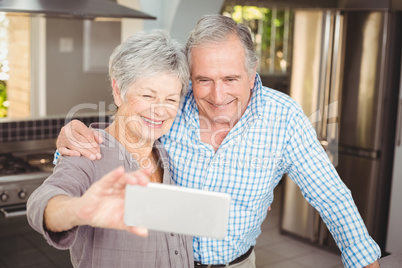 Cheerful senior couple taking selfie