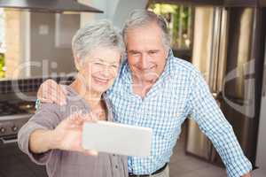 Cheerful senior couple taking selfie