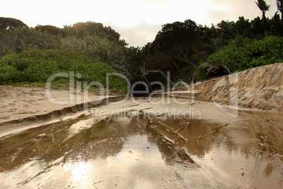 Oily River Bed Running Over Beach in Sea