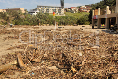 Waste Environmental Damage at Beachfront