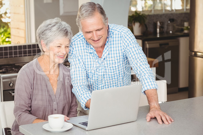 Happy senior couple looking at laptop