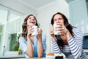 Happy friends holding coffee mugs at table