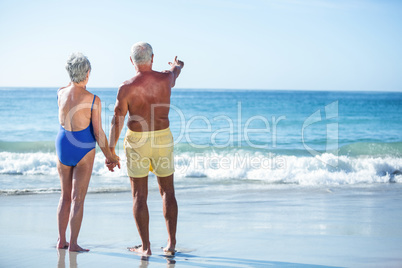 Senior couple in the water pointing the horizon