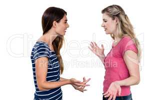Female friends gesturing while arguing