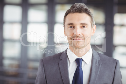Portrait of confident handsome businessman