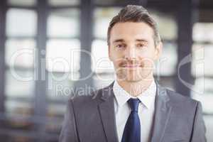 Portrait of confident handsome businessman