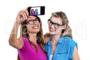 Smiling female friends taking self portrait