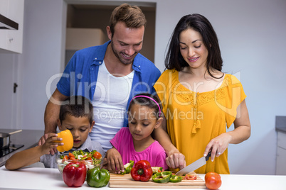 Happy family in the kitchen