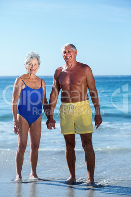 Senior couple posing on the water