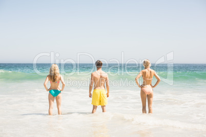 Rear view of young friends standing on the beach