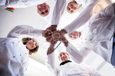 Portrait of chefs team putting hands together and cheering