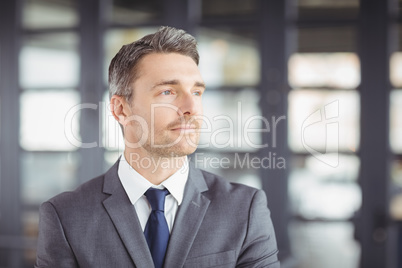 Handsome businessman looking away