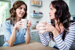 Female friends holding coffee mugs while discussing at table